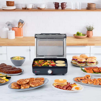 Indoor/Outdoor Grill and Griddle